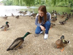 lily and a duck by the edge of the lake