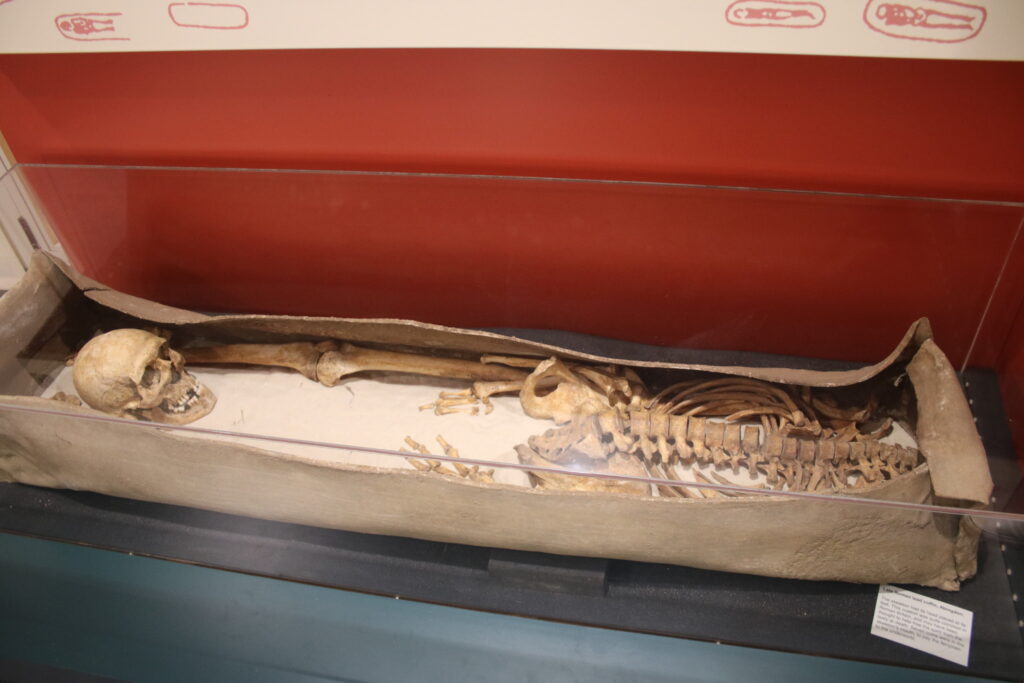roman skeleton