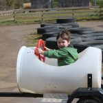 barrel train ride