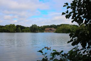 View of Nature Discovery centre across the lake
