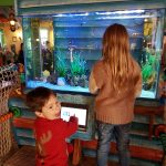 Fish tank in the Splash Lnadings Hotel at Alton Towers