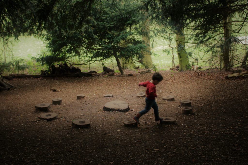 cody stepping on the stepping stones circle in the woods