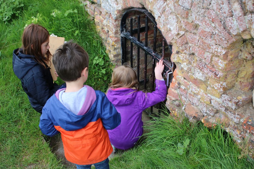 Children looking down in to cellar