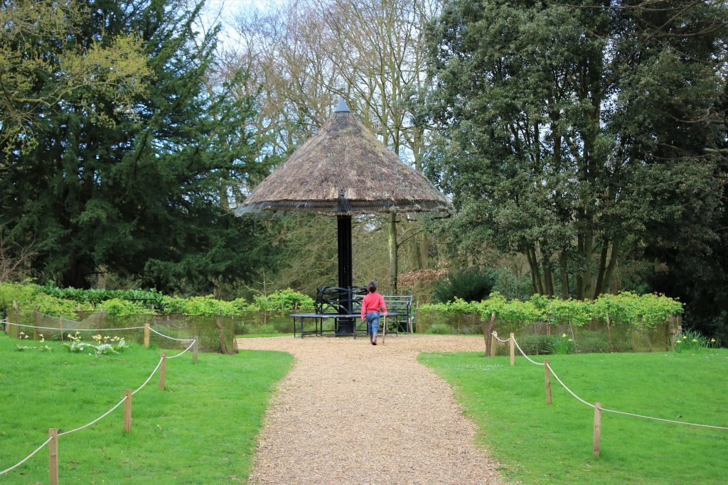 greys court umbrella seat
