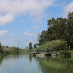 Delta de L'Ebre river boat trip