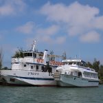 boats on the Delta de L'Ebre