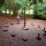 log circle in the woods