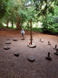 log circle in the woods