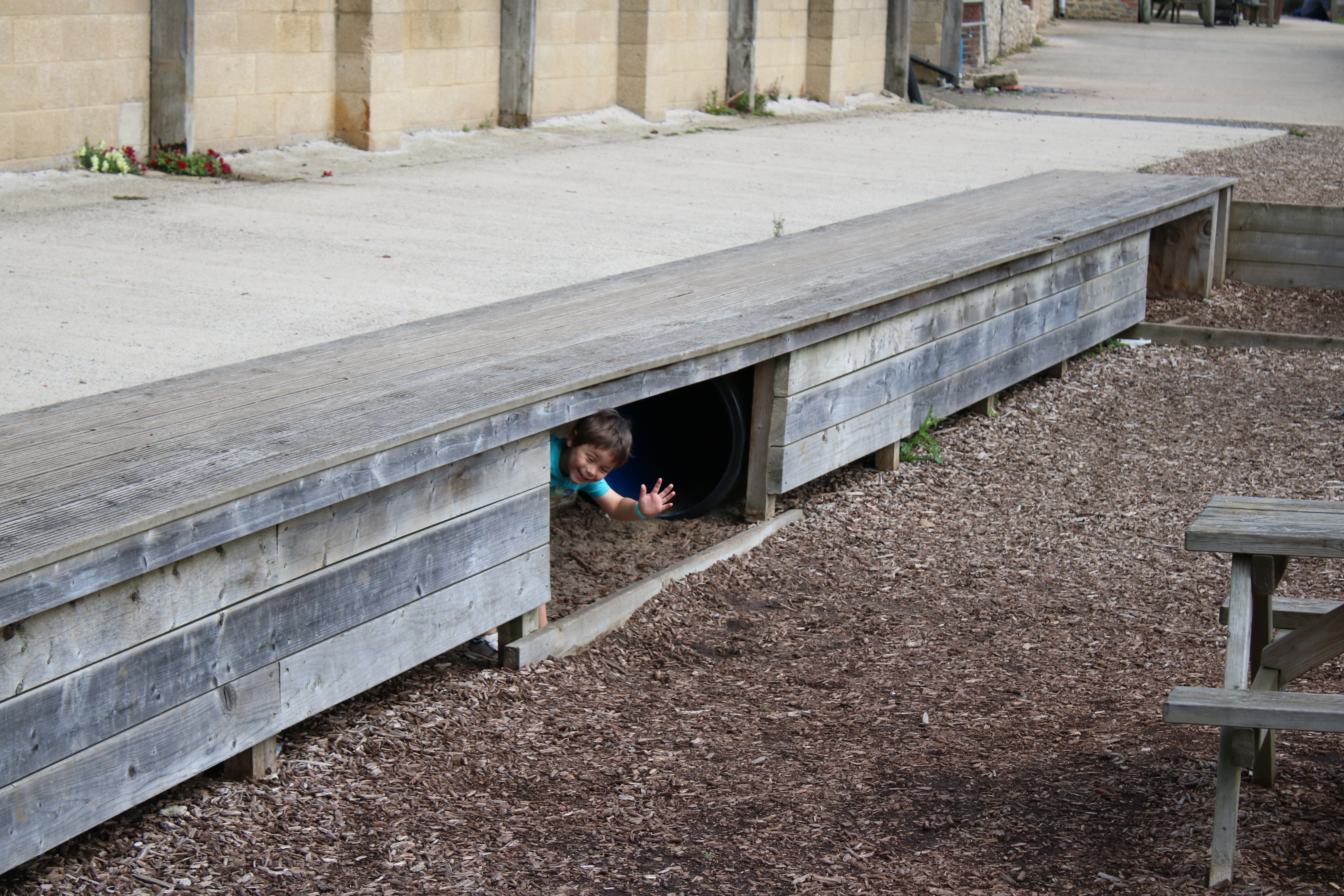 Tunnels at Roves Farm park