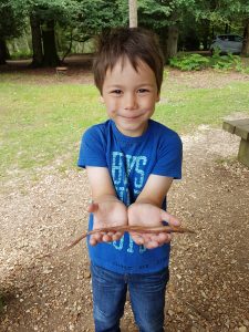 Boy holding a toy slow worm