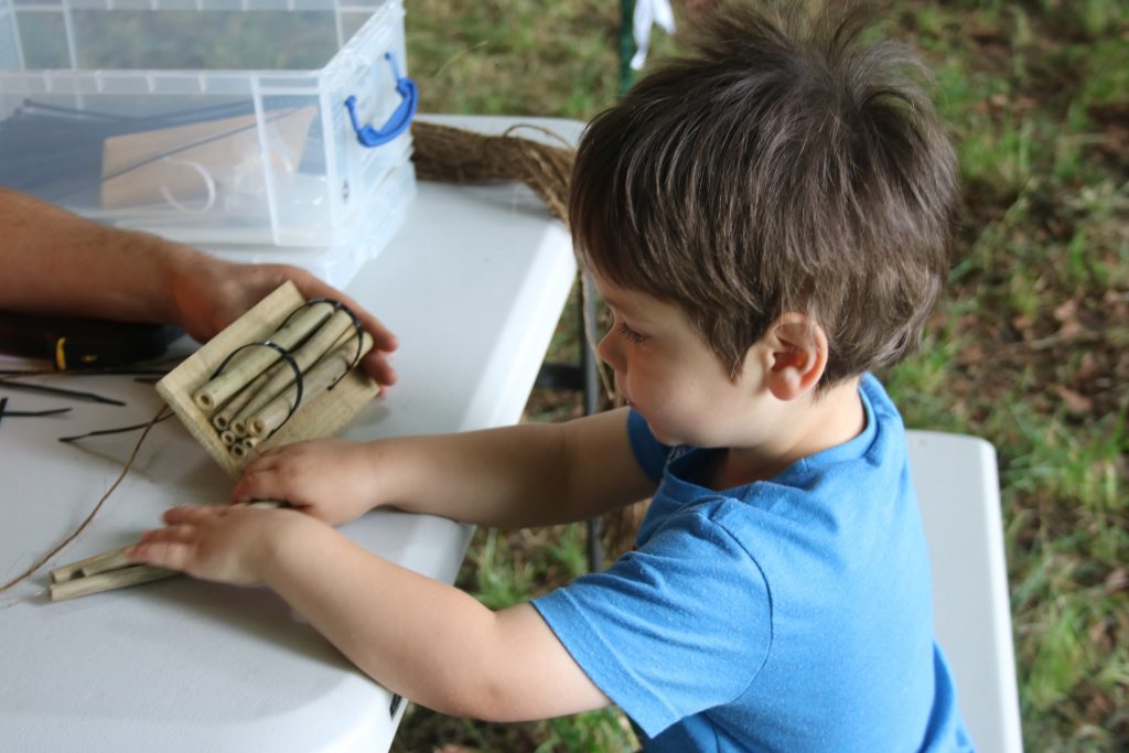 Cody making a bug hotel