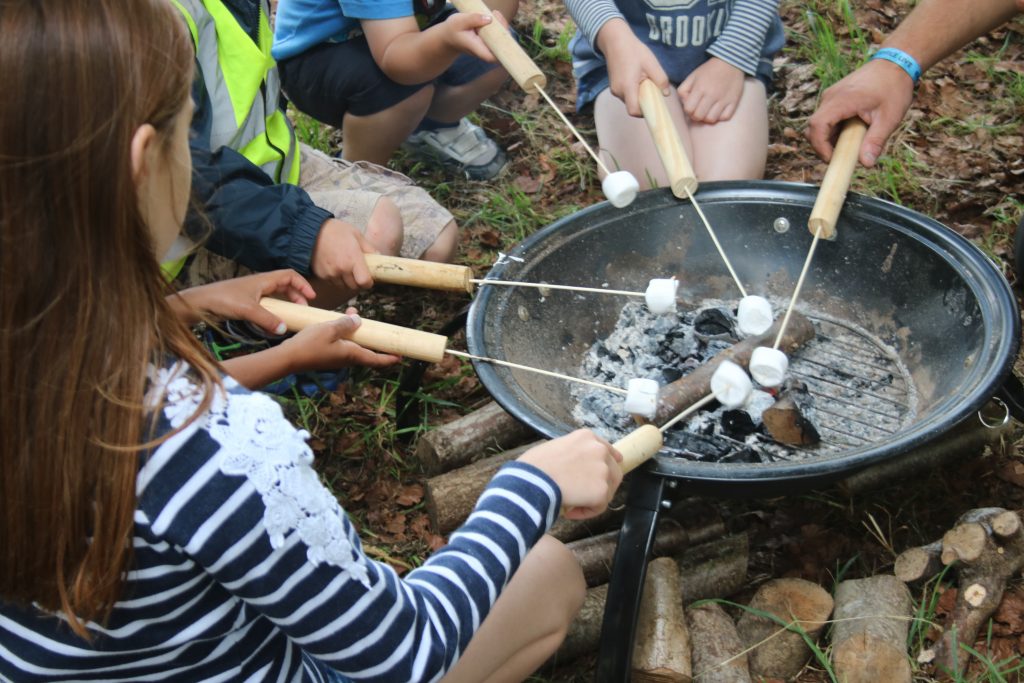 Kids cooking marshmallows on the fire