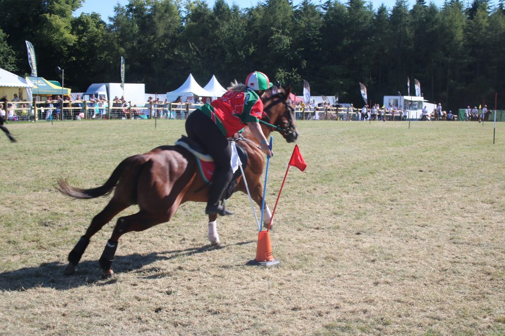 Pony club races