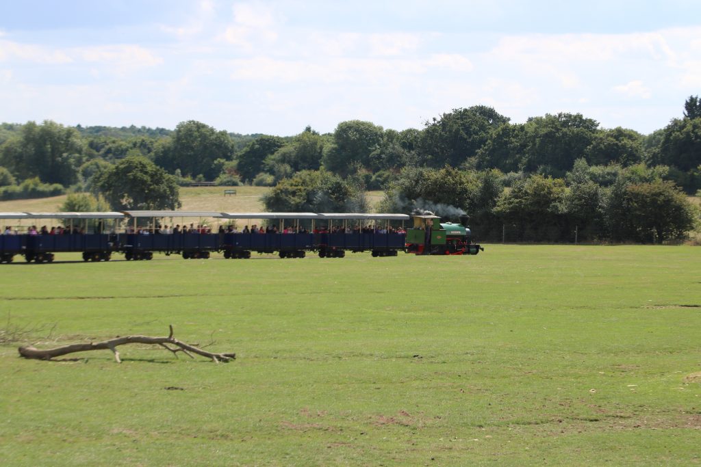 ZSL Whipsnade zoo train