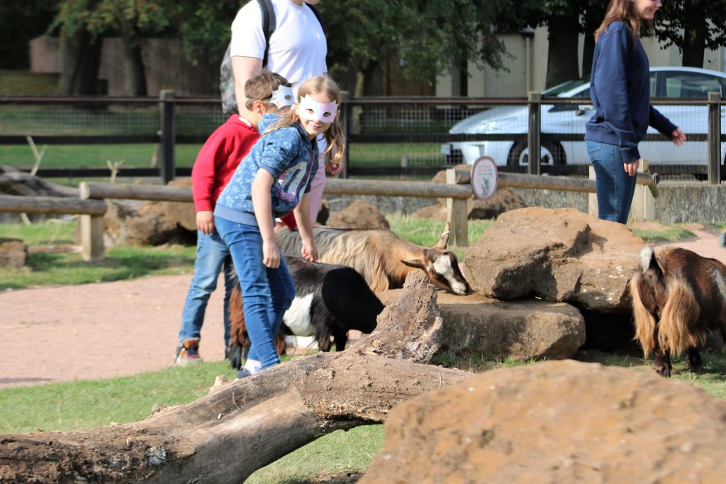Hullabazoo farm petting area. Kids stroking the goats