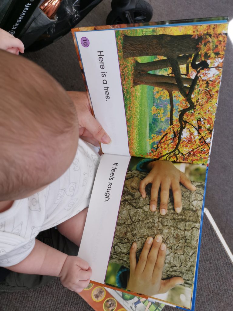 reading a book to baby