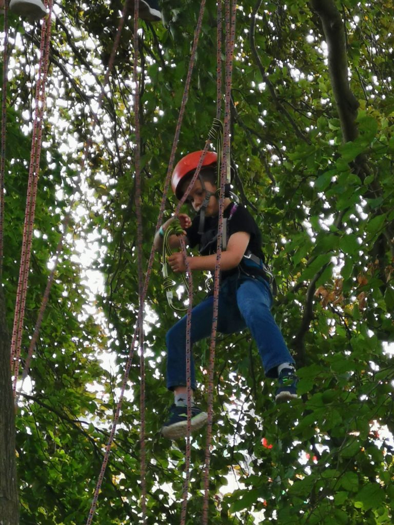 Tree climbing at Countryfile Live 2019