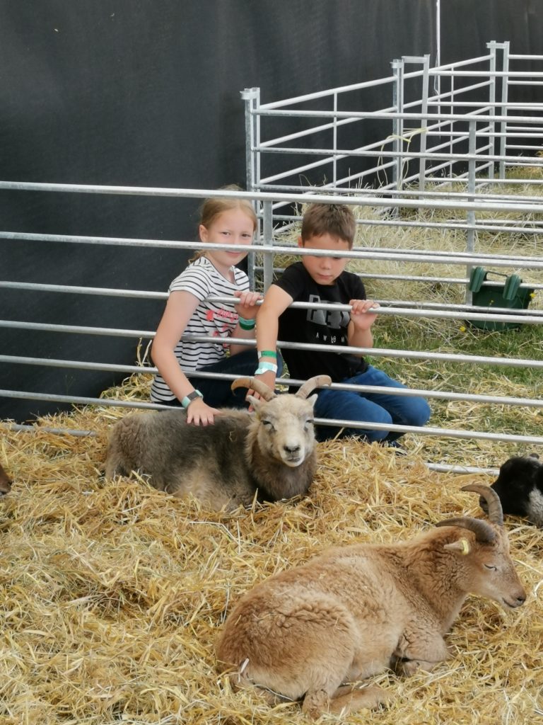 Kids stroking a goat at Countryfile Live 2019