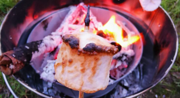 marshmallow melting in front of the campfire