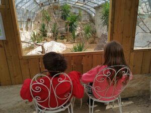 Kids sat on chairs looking into desert house avairy
