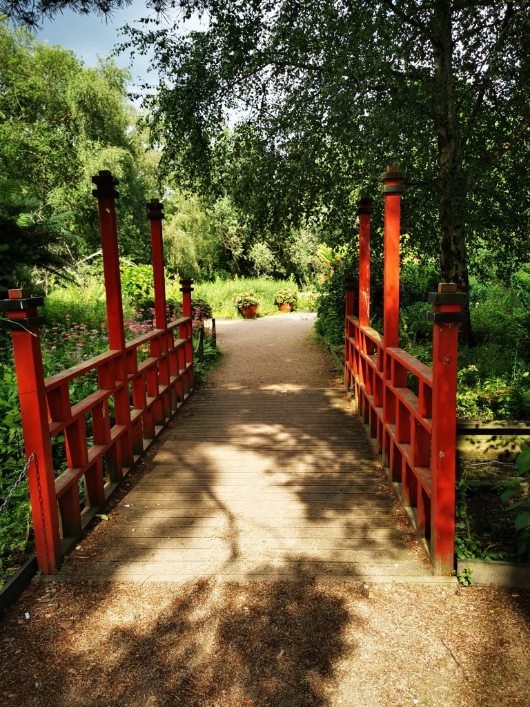 red bridge in Japanese garden