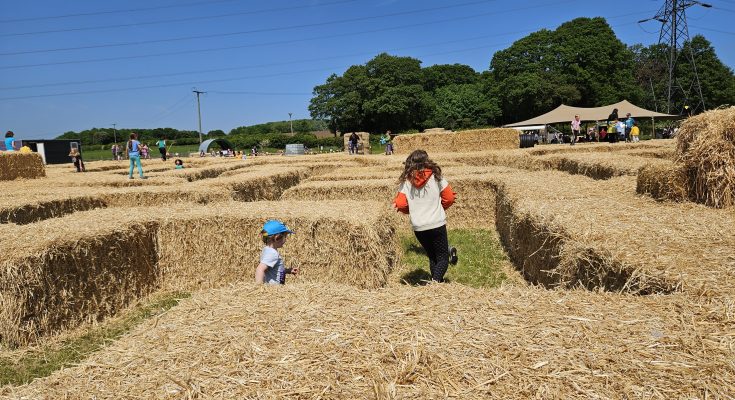 kids running through giant straw bale maze at High Lodge Farm