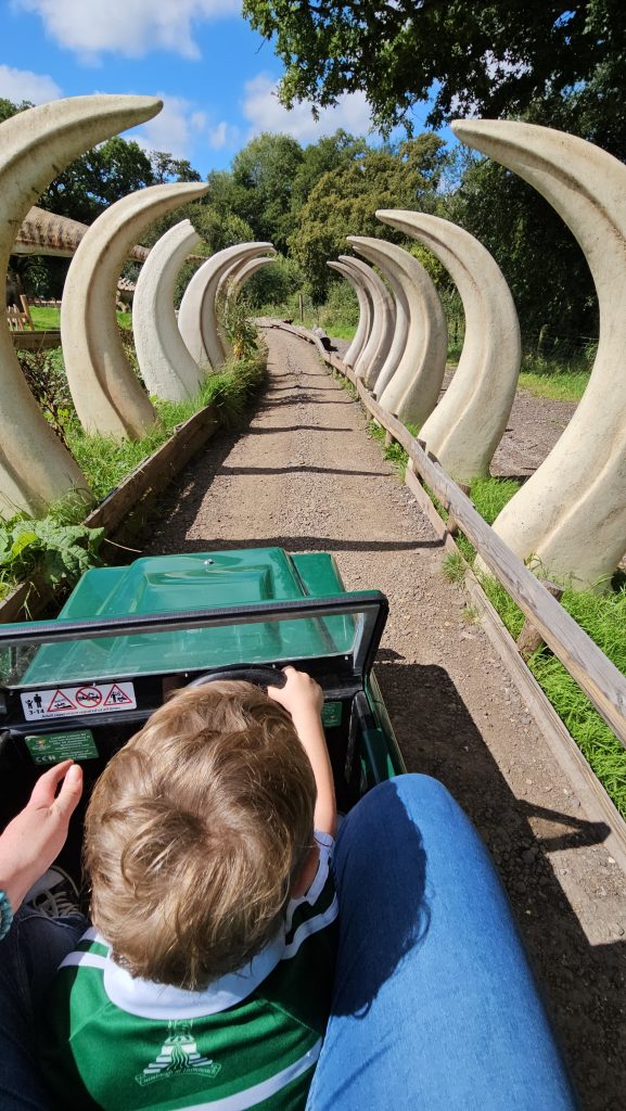 young child driving miniature jeep through dinosaur bones tunnel