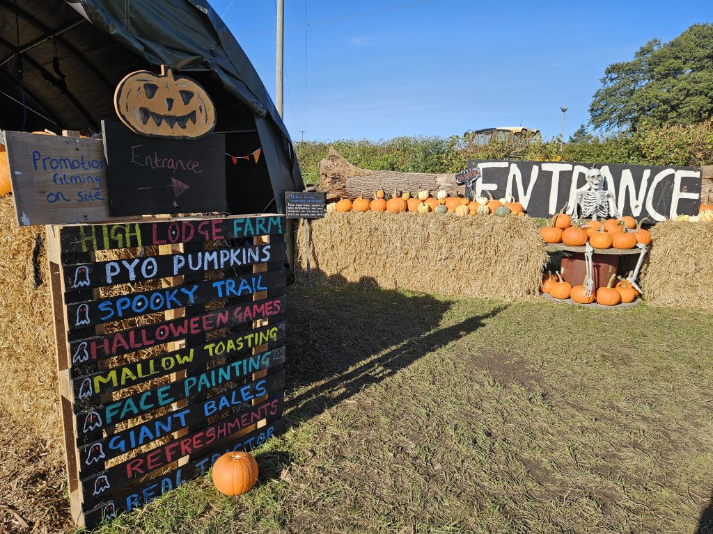 Entrance to pumpkin patch with welcome sign, pumpkins and a skeleton