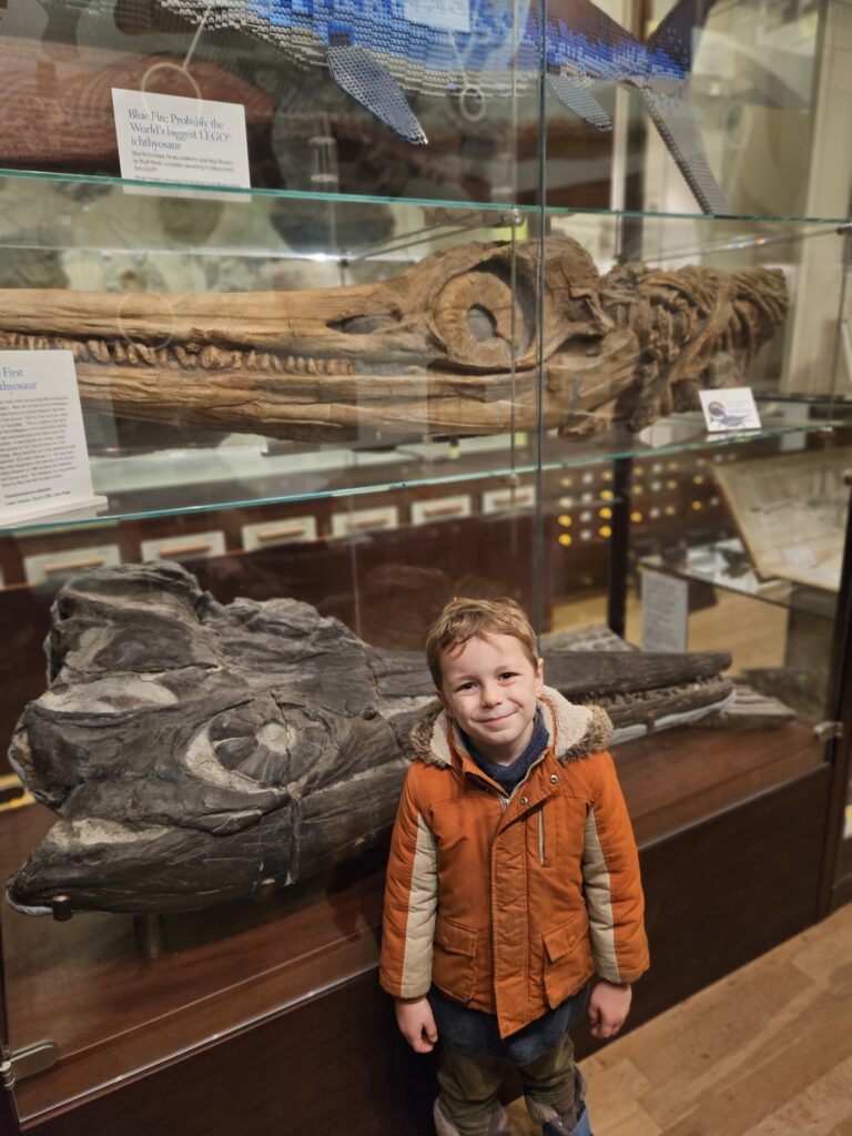 Child stood in front of fossilised skulls