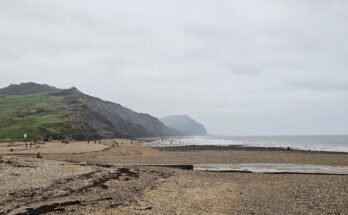 Fossil hunting at Charmouth beach