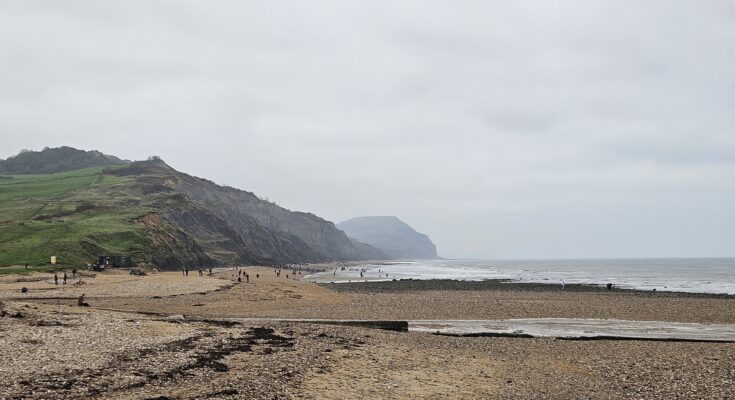 Fossil hunting at Charmouth beach