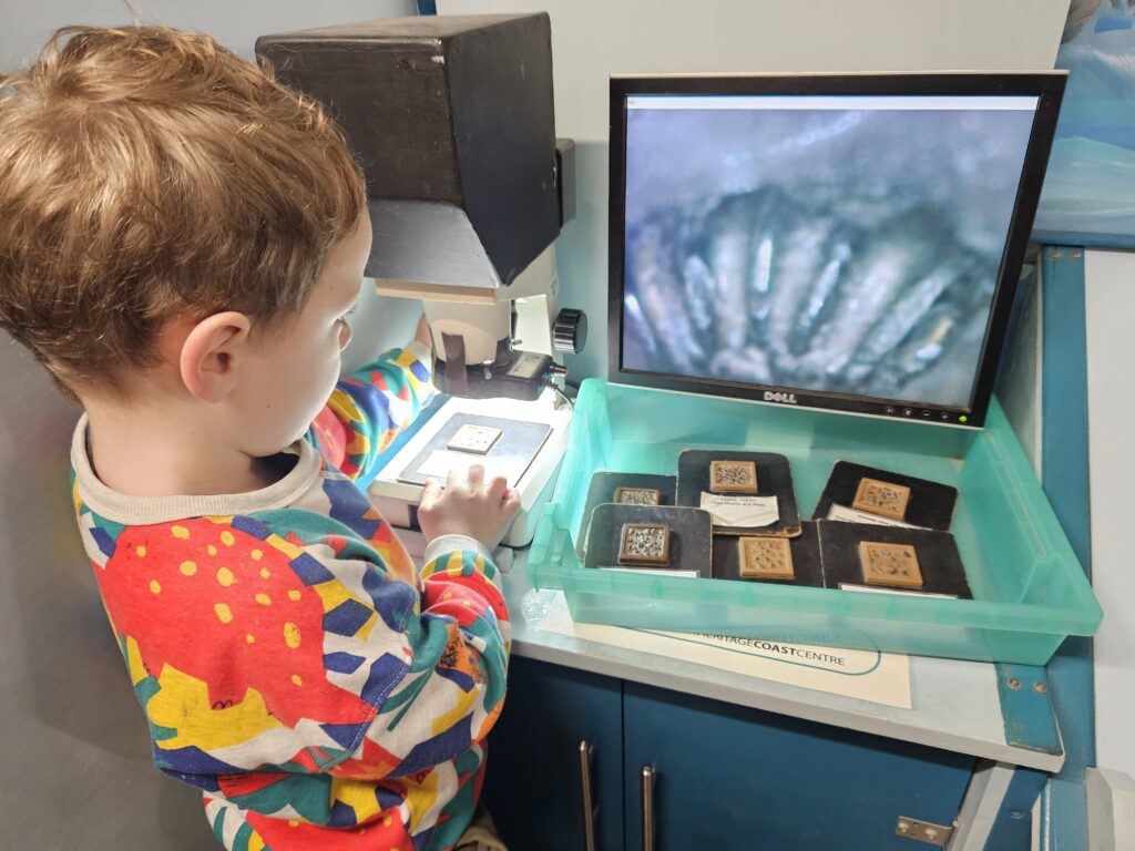 microscope at Charmouth Heritage Coast Centre