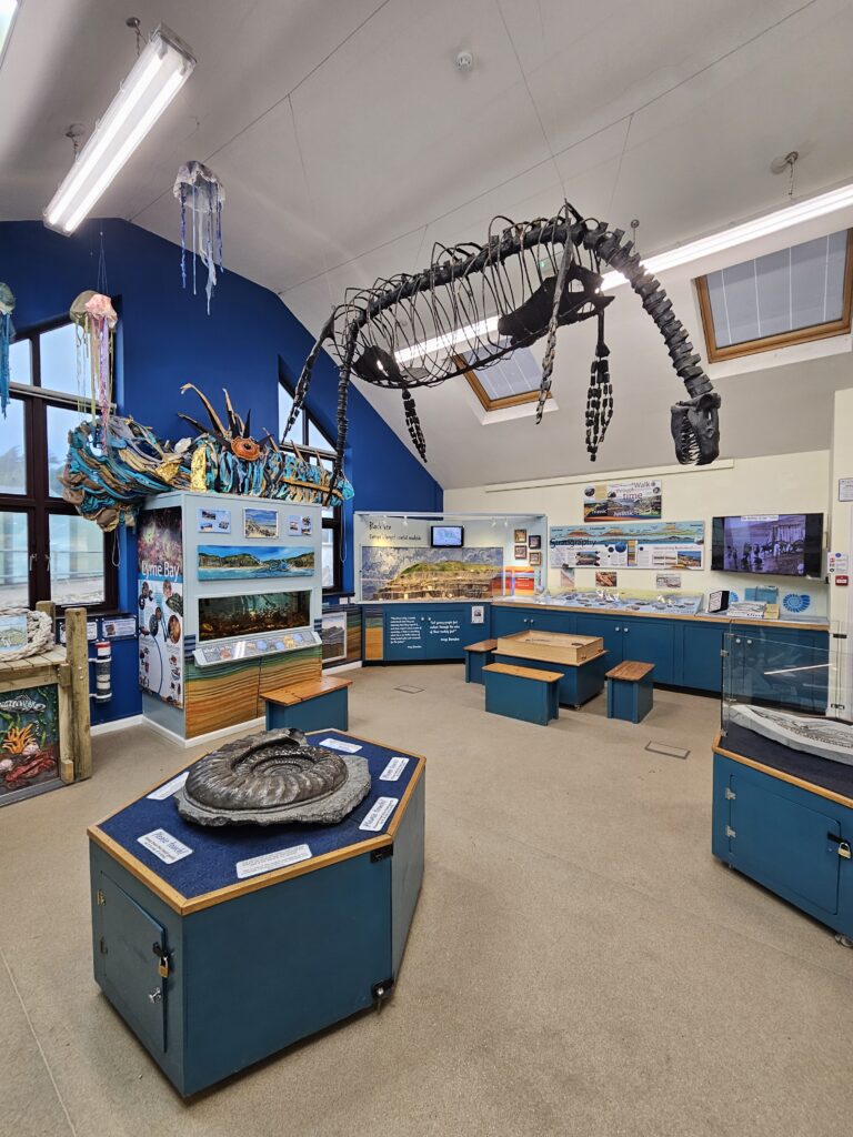 Display at Charmouth Heritage Coast Centre
