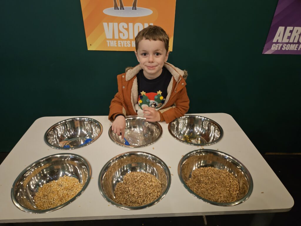 Child stood with reindeer food ingredients during Christmas at 4 Kingdoms adventure